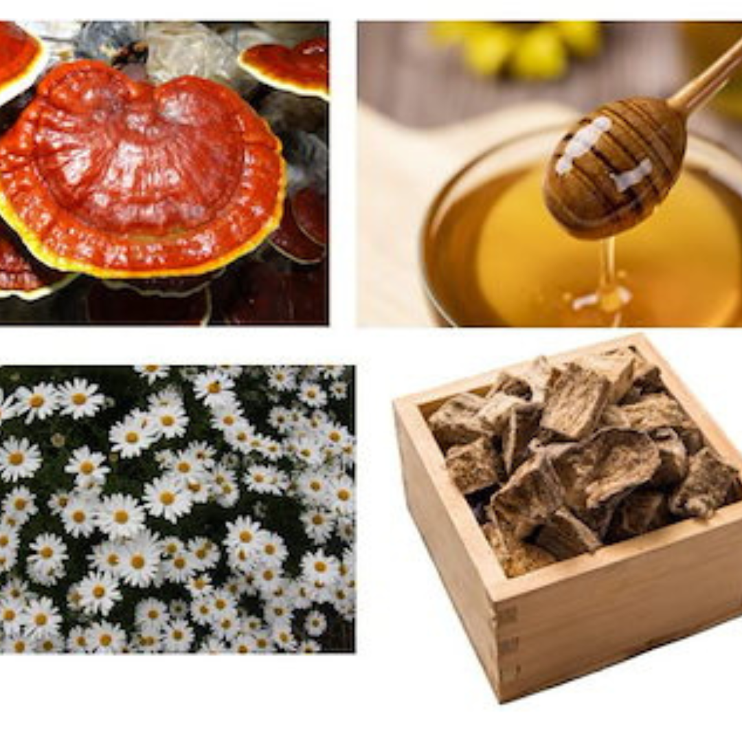 Daesan Korean Black Ginseng Extract/Liquid