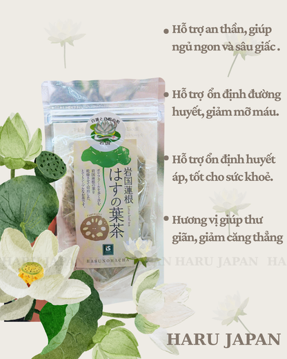 Iwakuni Lotus Leaf Tea – HASUNOHACHA