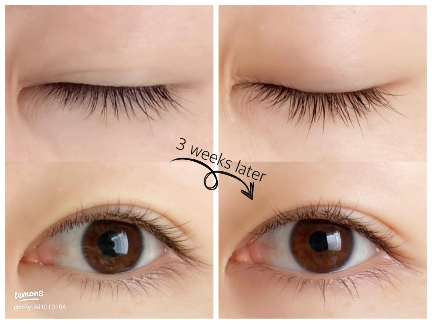 MAJOLICA MAJORCA LASH JELLY DROP EX- Made in Japan