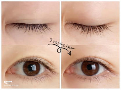 MAJOLICA MAJORCA LASH JELLY DROP EX- Made in Japan