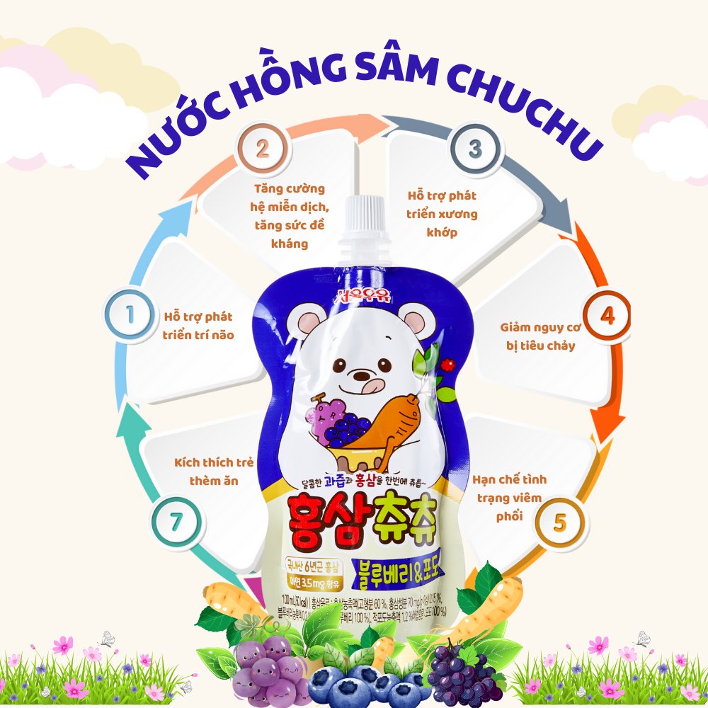 Korean Red Ginseng ChuChu – Immune Support for Children 3+