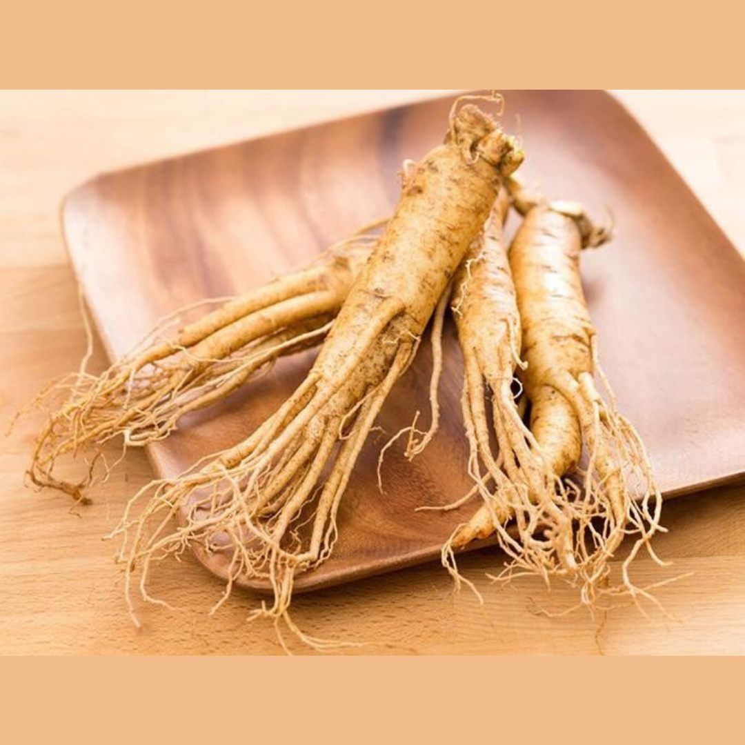 Red Ginseng Health Premium