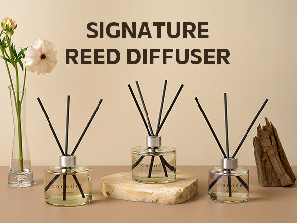 Cocodor Reed Diffuser – White Series (200ml)