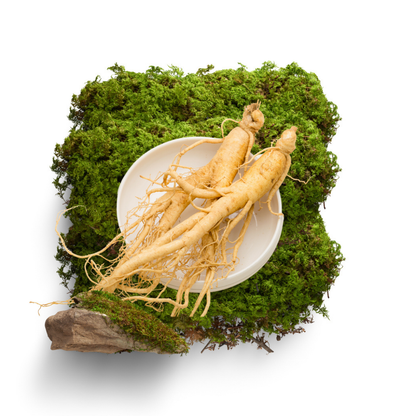 KGC Cheong Kwan Jang Government Red Ginseng Extract