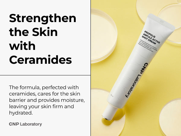CNP LABORATORY PROPOLIS AMPULE ACTIVE SHOT CREAM SET