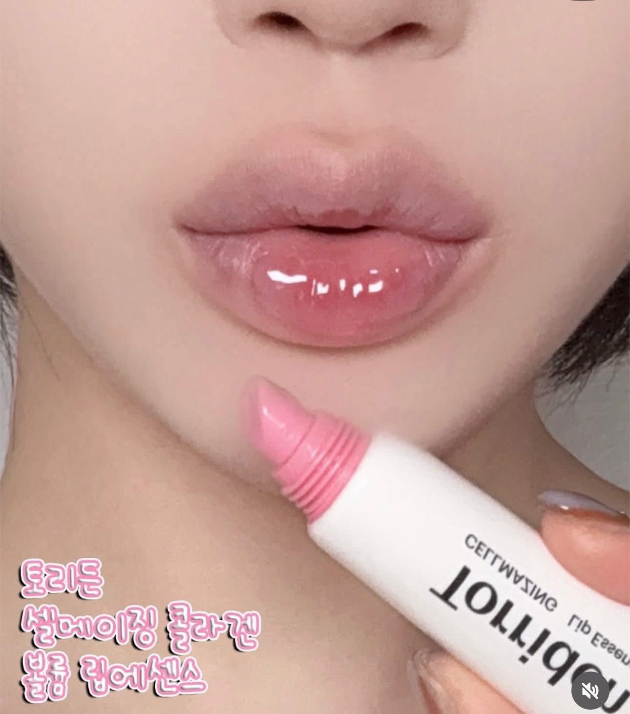 Olive Young Awards 2025! Torriden Solid In Lip Essence
