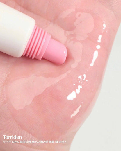 Olive Young Awards 2025! Torriden Solid In Lip Essence
