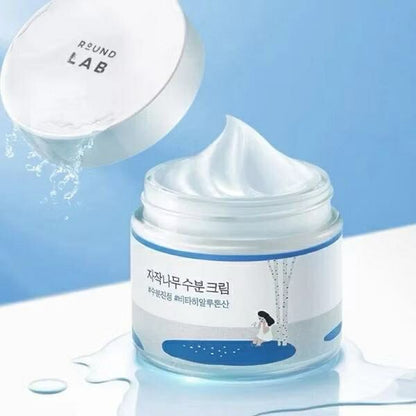 Round Lab Birch Juice Moisturizing Cream – Made in Korea