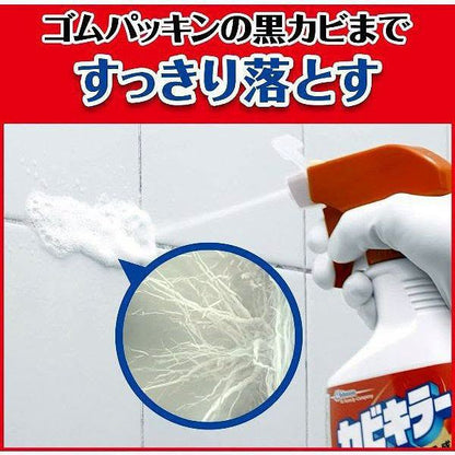 ScJohnson mould spray
