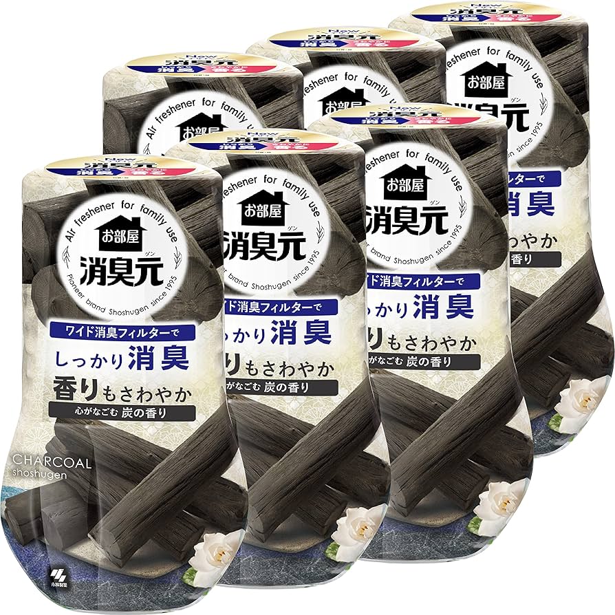 Japanese Activated Charcoal Deodorizing Gel – Keep Your Space Fresh & Pure