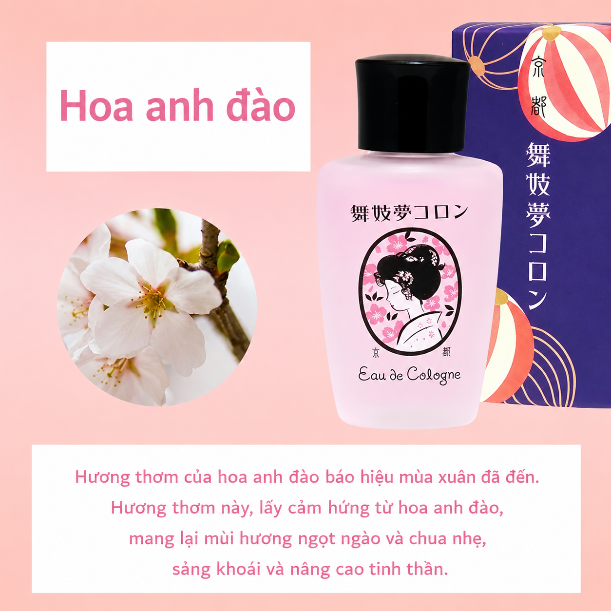 Maiko Yume Cologne 20ml