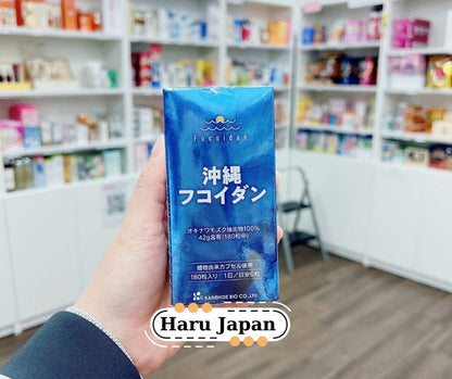 🌊 Okinawa Fucoidan 100% Mozuku Extract – Immune Support & Cancer Prevention
