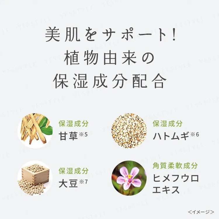 PDC Wafood Made Matcha Enzyme Powder – Green Tea Enzyme Face Wash