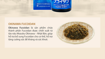 🌊 Okinawa Fucoidan 100% Mozuku Extract – Immune Support & Cancer Prevention