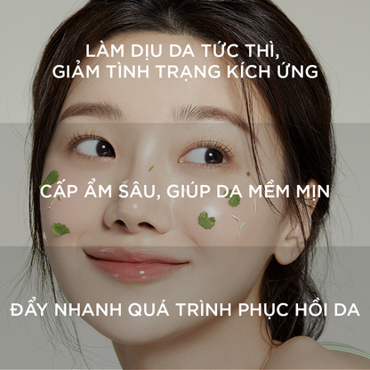COSPARADE CICA ALL IN ONE GEL - MADE IN JAPAN