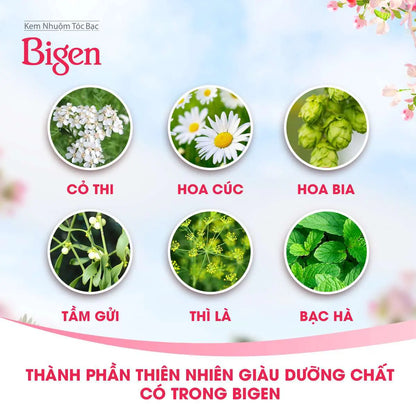 Thuốc nhuộm tóc Bigen Speedy Color – Made in Japan