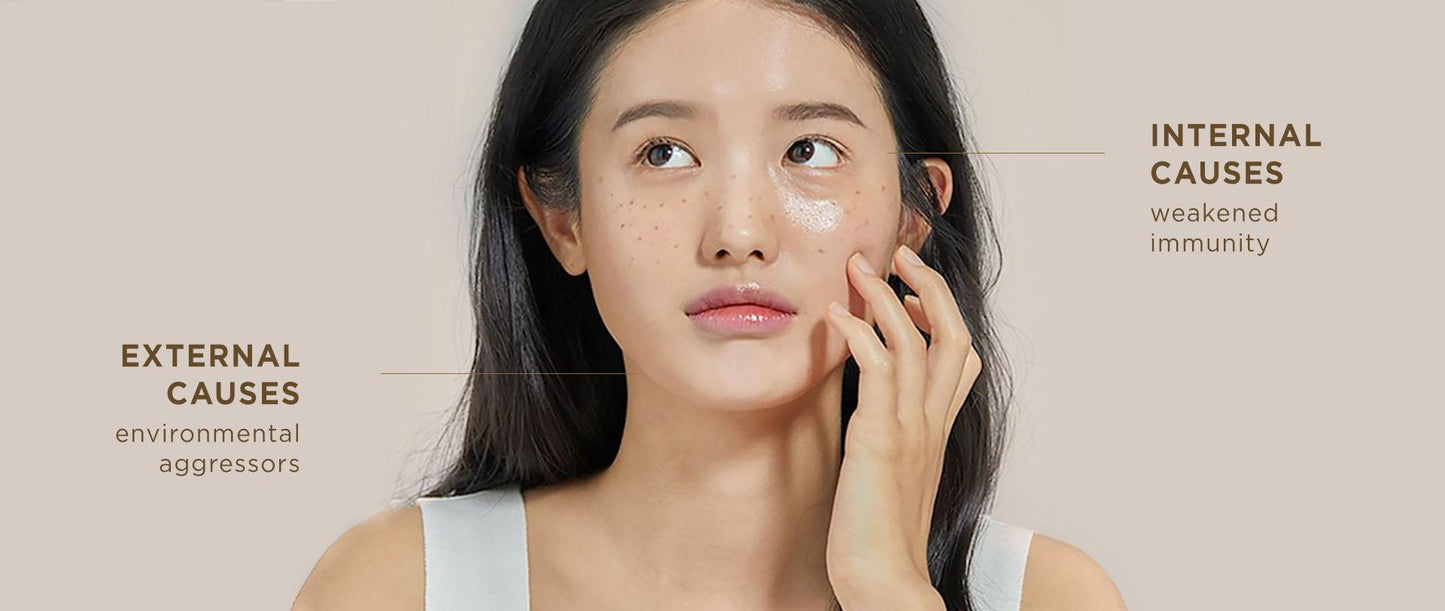 THE HISTORY OF WHOO GONGJINHYANG: SEOL SPECIAL SET