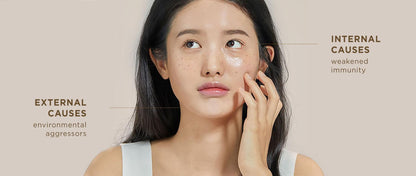 THE HISTORY OF WHOO GONGJINHYANG: SEOL SPECIAL SET