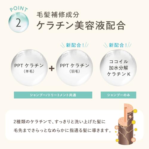 Clayge Care Spa – Shampoo & Treatment Set – “A Relaxing Spa for Your Hair, Right at Home”