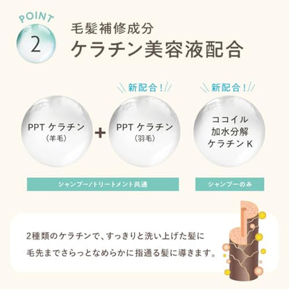 Clayge Care Spa – Shampoo & Treatment Set – “A Relaxing Spa for Your Hair, Right at Home”