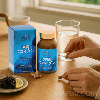 🌊 Okinawa Fucoidan 100% Mozuku Extract – Immune Support & Cancer Prevention
