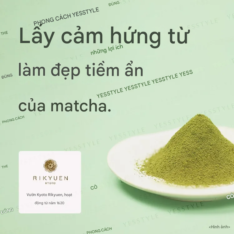 PDC Wafood Made Matcha Enzyme Powder Face Wash- Made in Japan
